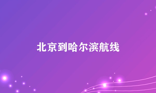北京到哈尔滨航线