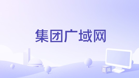 集团广域网