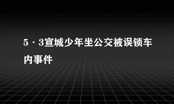 5·3宣城少年坐公交被误锁车内事件