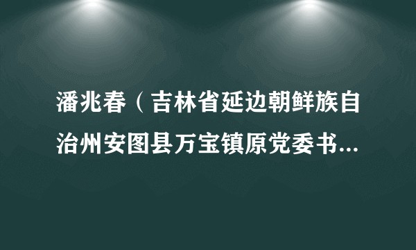 潘兆春（吉林省延边朝鲜族自治州安图县万宝镇原党委书记、四级调研员）