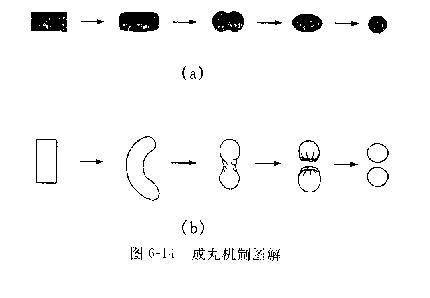 挤出滚圆机