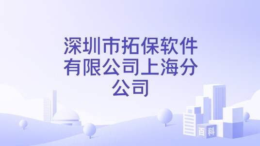 深圳市拓保软件有限公司上海分公司
