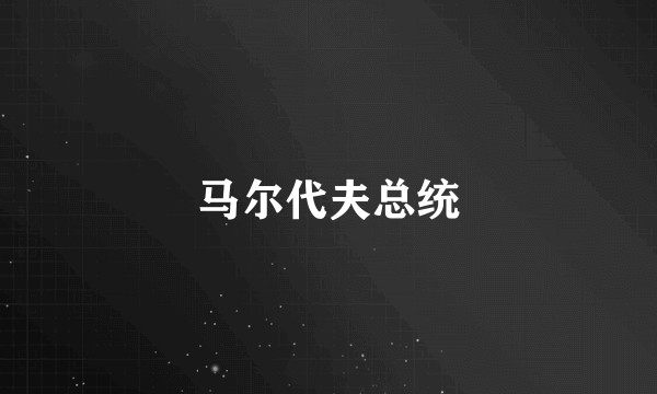 马尔代夫总统