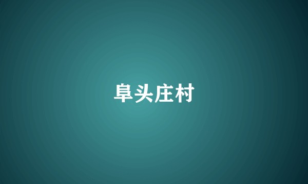 阜头庄村