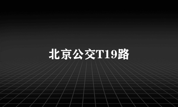 北京公交T19路