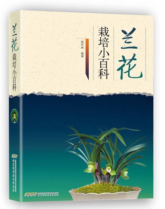 兰花栽培小百科