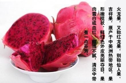 火龙果红色素