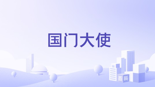 国门大使