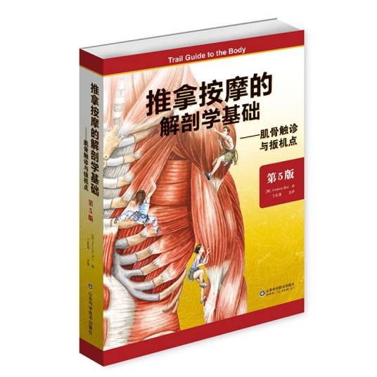 推拿按摩的解剖学基础——肌骨触诊与扳机点