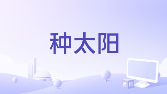 种太阳（2024年《17号音乐仓库第二季》梁龙演唱的歌曲）