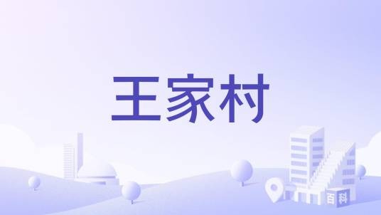 王家村（浙江省玉环市清港镇下辖村）
