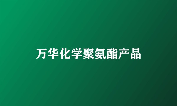 万华化学聚氨酯产品