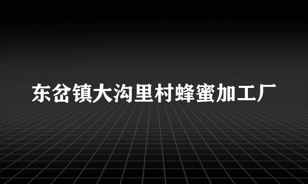 东岔镇大沟里村蜂蜜加工厂
