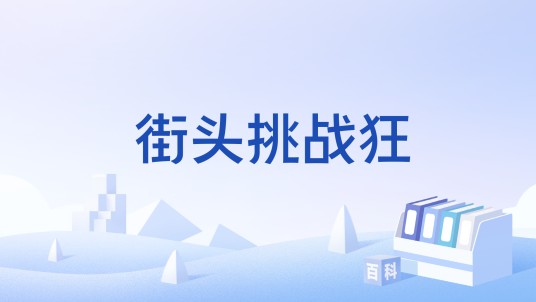 街头挑战狂
