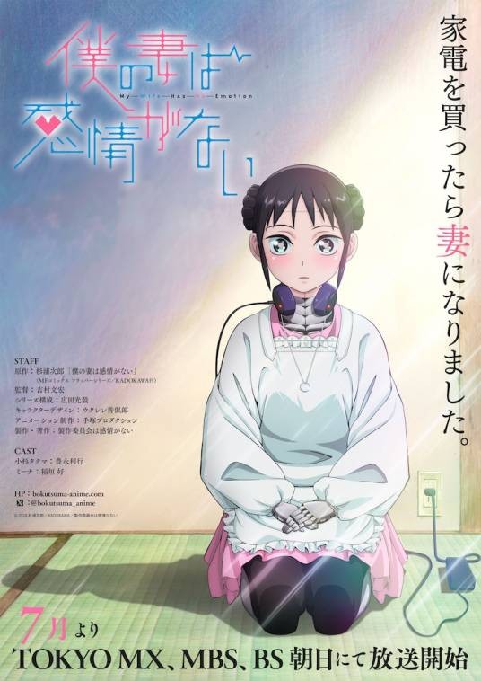 我的妻子没有感情（手冢Production改编的电视动画作品）