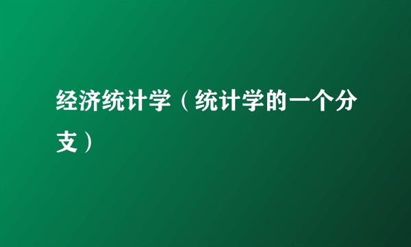 经济统计学（统计学的一个分支）