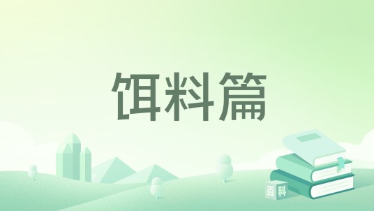 饵料篇