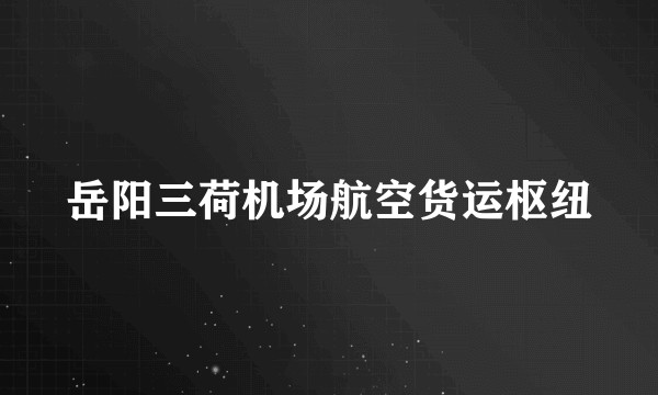 岳阳三荷机场航空货运枢纽