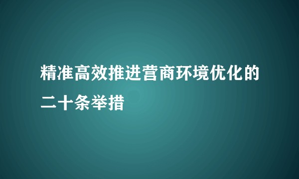 精准高效推进营商环境优化的二十条举措