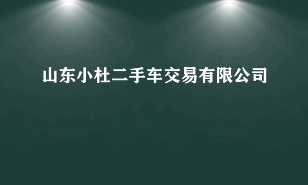 山东小杜二手车交易有限公司