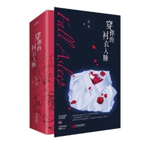 穿你的衬衣入睡全二册