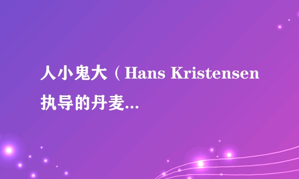 人小鬼大（Hans Kristensen执导的丹麦喜剧电影）