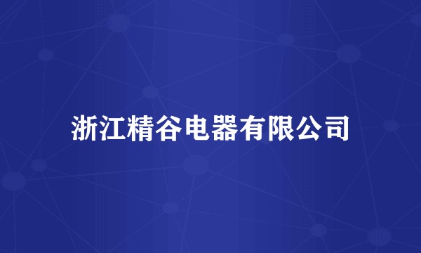 浙江精谷电器有限公司