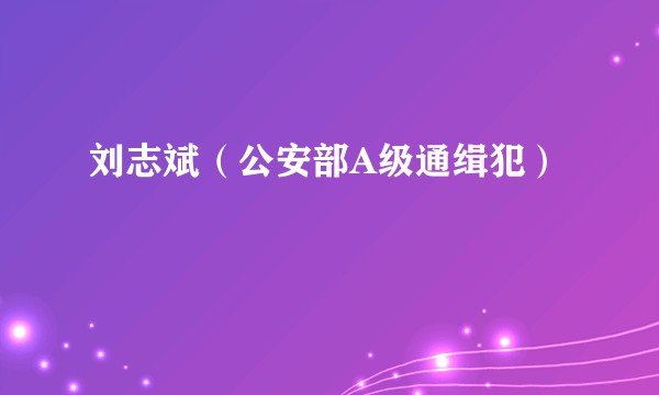 刘志斌（公安部A级通缉犯）