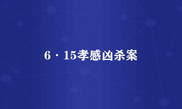6·15孝感凶杀案