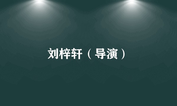 刘梓轩（导演）