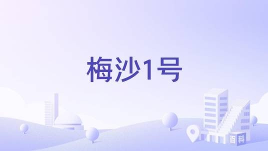 梅沙1号