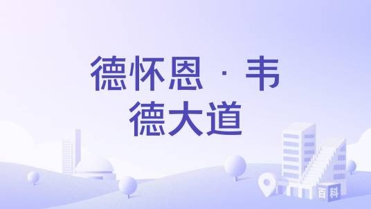 德怀恩·韦德大道