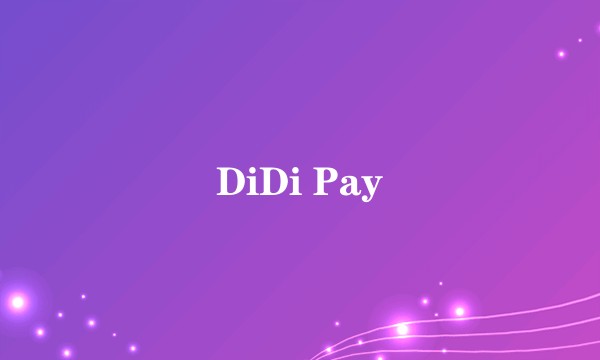 DiDi Pay