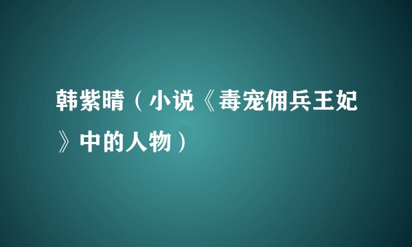 韩紫晴（小说《毒宠佣兵王妃》中的人物）
