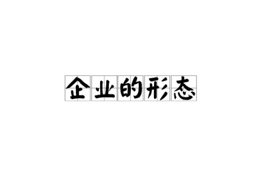 企业的形态