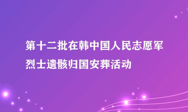 第十二批在韩中国人民志愿军烈士遗骸归国安葬活动