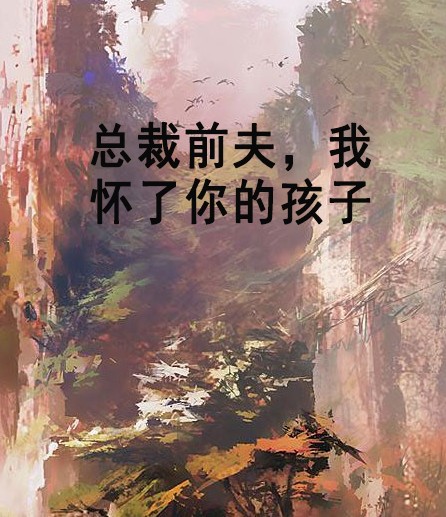 总裁前夫，我怀了你的孩子