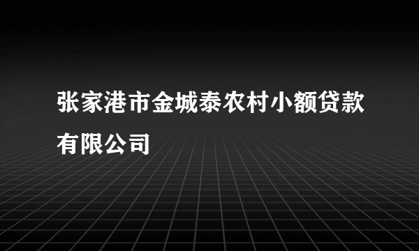 张家港市金城泰农村小额贷款有限公司