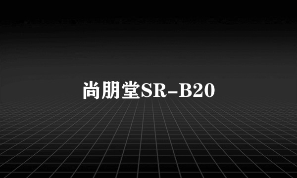 尚朋堂SR-B20
