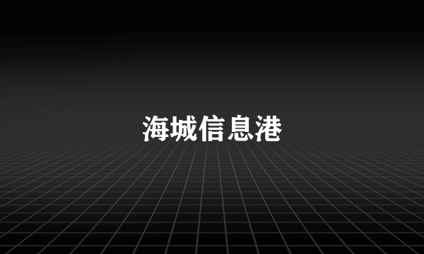 海城信息港