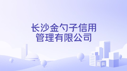 长沙金勺子信用管理有限公司