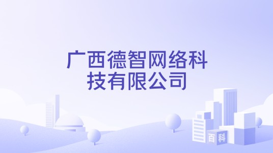 广西德智网络科技有限公司