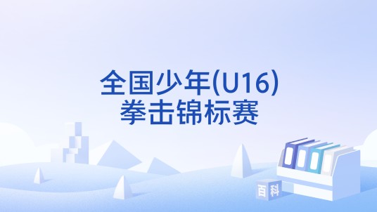 全国少年(U16)拳击锦标赛
