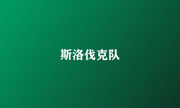 斯洛伐克队