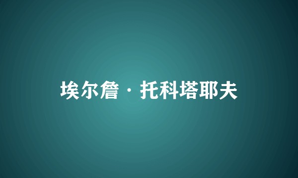 埃尔詹·托科塔耶夫