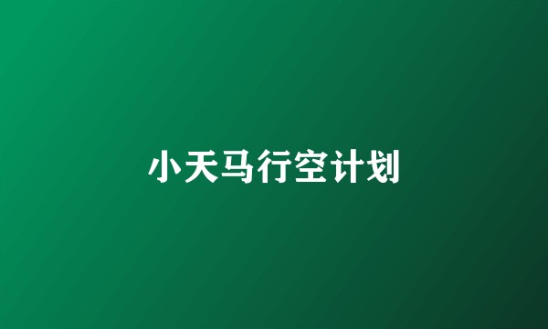 小天马行空计划