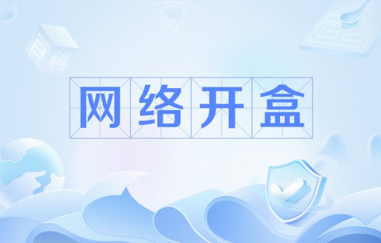 网络开盒