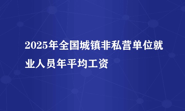 2025年全国城镇非私营单位就业人员年平均工资