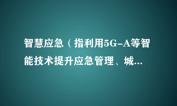 智慧应急（指利用5G-A等智能技术提升应急管理、城市治理水平的应用领域）