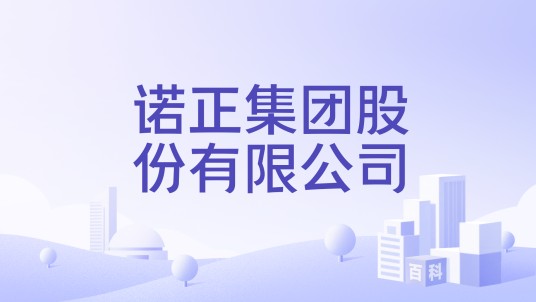 诺正集团股份有限公司
